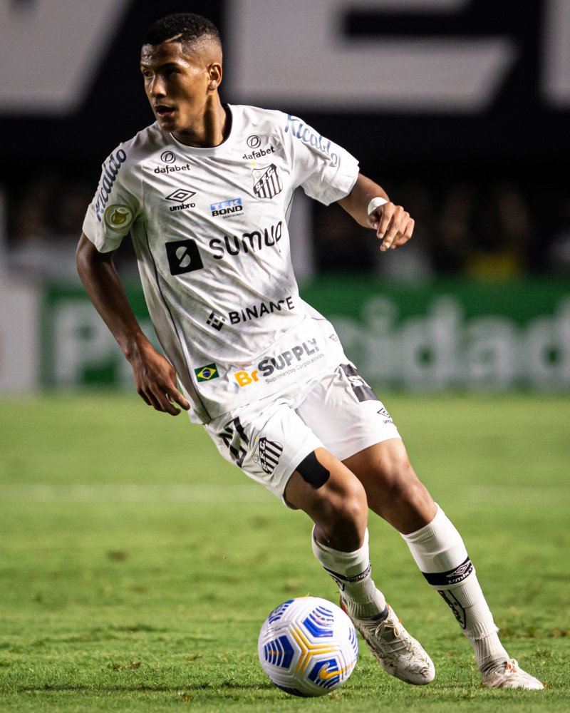 在这篇文章 在这篇文章