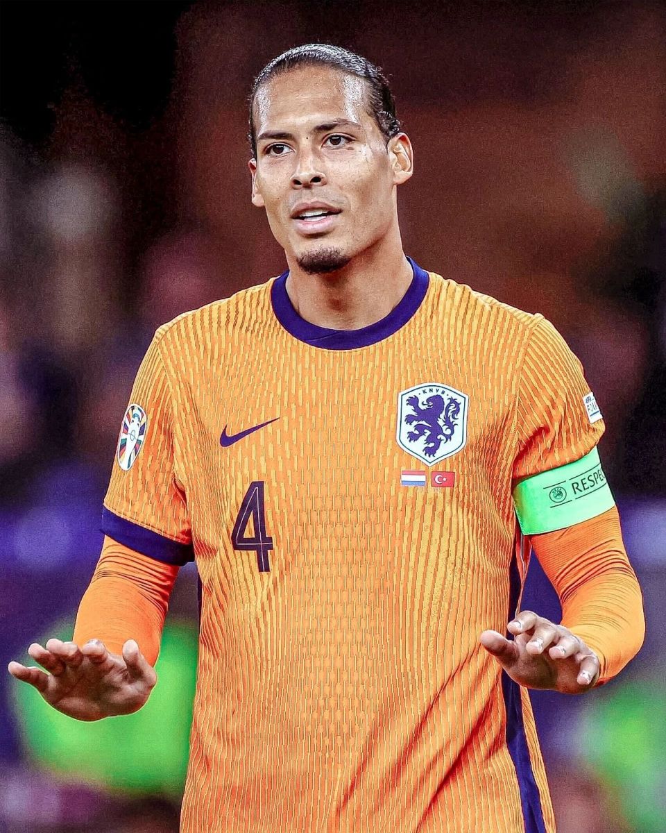 条震撼性的 条震撼性的