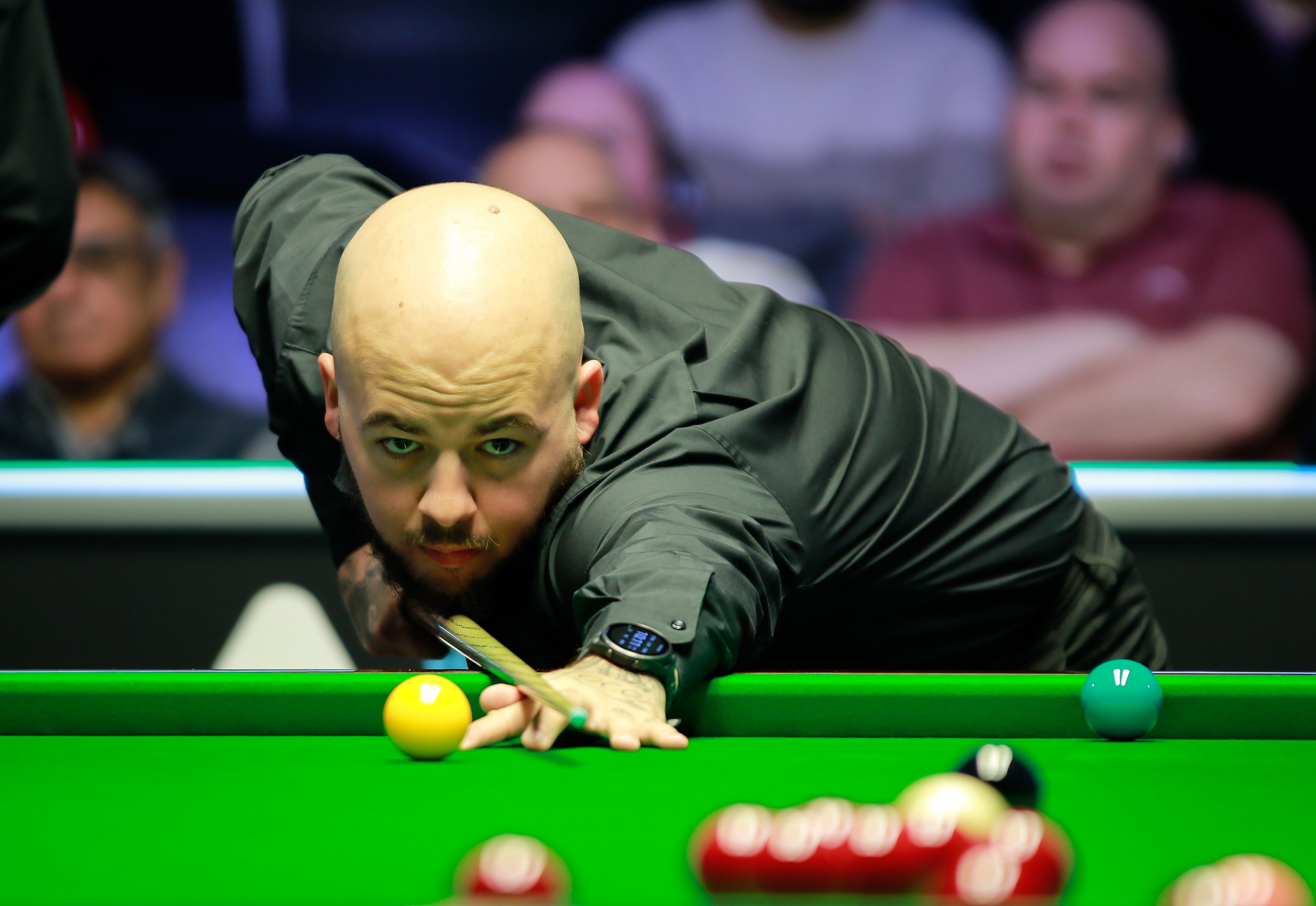 费利佩的动 费利佩的动