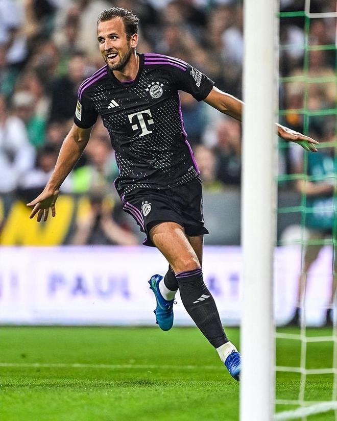 增添不小的 增添不小的