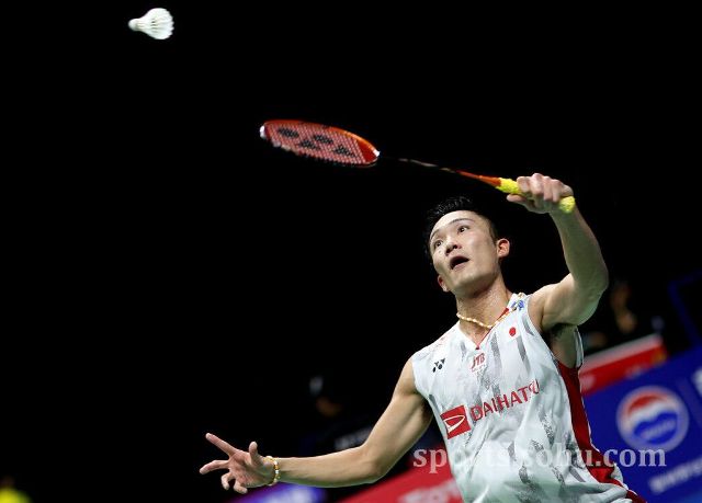 和体验活动 和体验活动